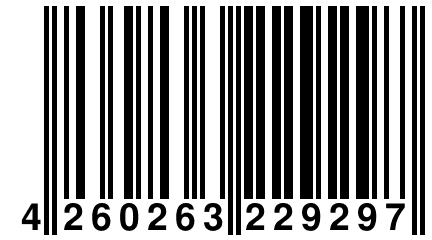 4 260263 229297