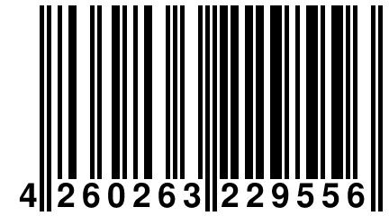 4 260263 229556