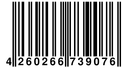 4 260266 739076