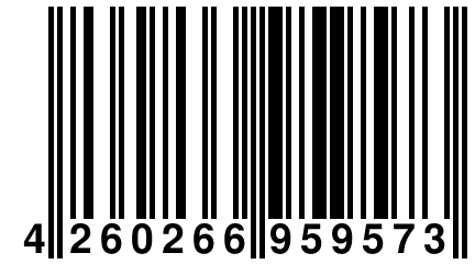 4 260266 959573