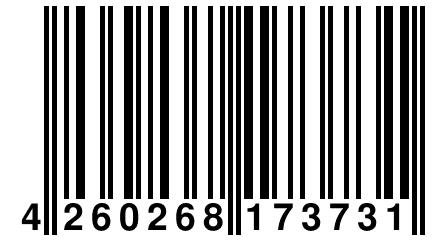 4 260268 173731