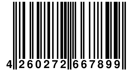 4 260272 667899