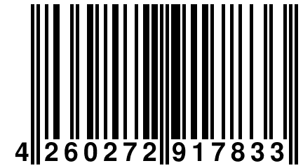 4 260272 917833