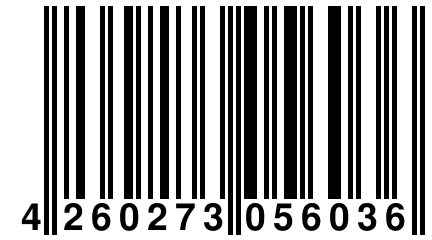 4 260273 056036