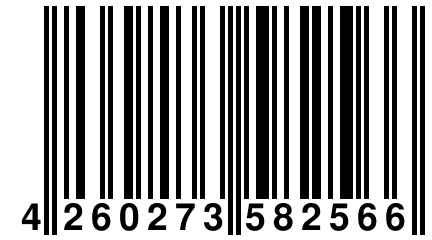 4 260273 582566