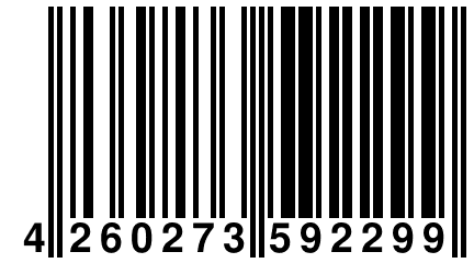 4 260273 592299