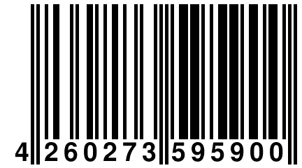 4 260273 595900