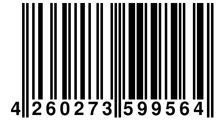 4 260273 599564