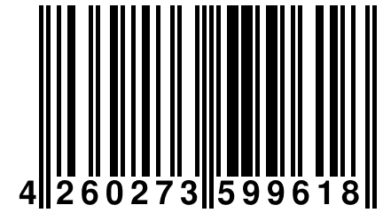 4 260273 599618