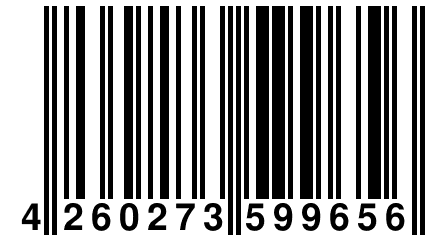 4 260273 599656