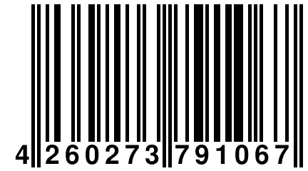4 260273 791067