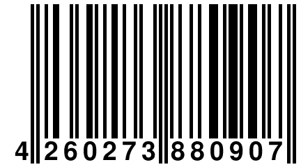 4 260273 880907
