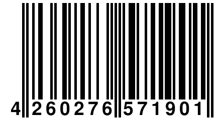 4 260276 571901