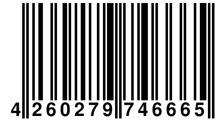 4 260279 746665