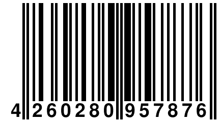 4 260280 957876