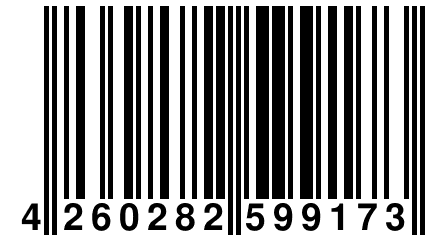 4 260282 599173