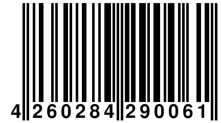 4 260284 290061