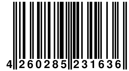 4 260285 231636