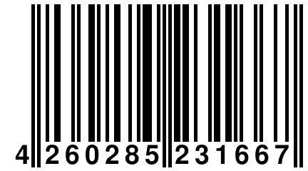 4 260285 231667