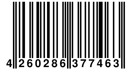 4 260286 377463