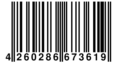 4 260286 673619