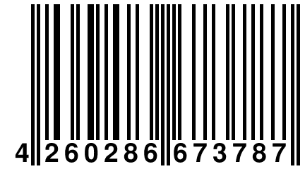 4 260286 673787