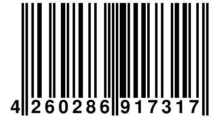 4 260286 917317