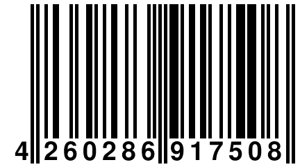 4 260286 917508