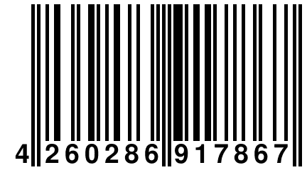 4 260286 917867