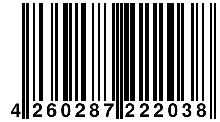 4 260287 222038