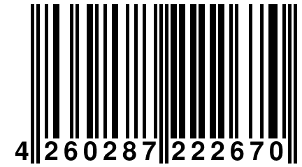 4 260287 222670