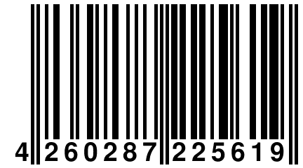 4 260287 225619