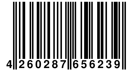4 260287 656239