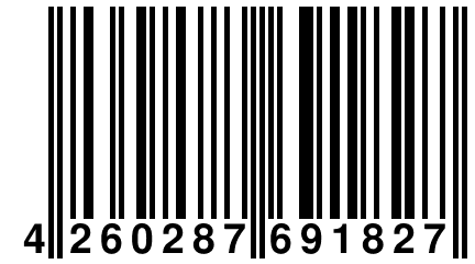 4 260287 691827