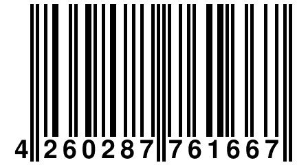 4 260287 761667