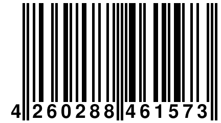4 260288 461573