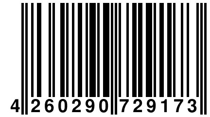 4 260290 729173