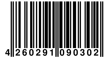4 260291 090302