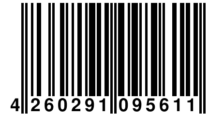 4 260291 095611