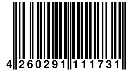 4 260291 111731