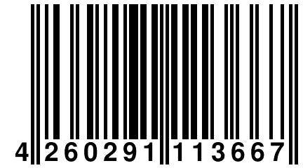 4 260291 113667