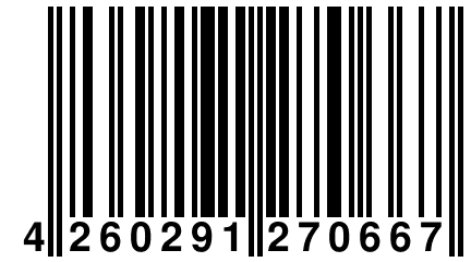 4 260291 270667