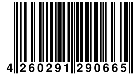 4 260291 290665