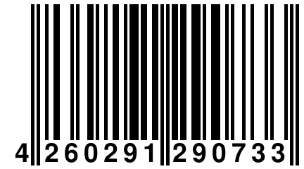 4 260291 290733