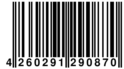 4 260291 290870