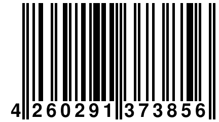 4 260291 373856