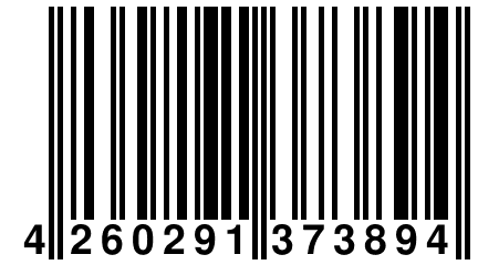 4 260291 373894
