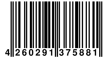 4 260291 375881