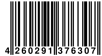 4 260291 376307