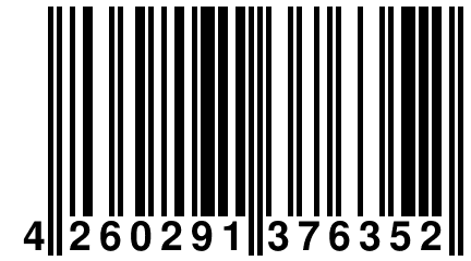 4 260291 376352